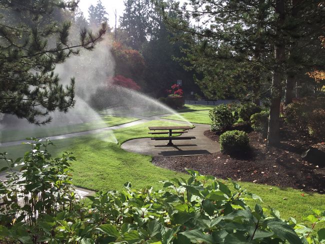 Landscape-Design-Bellevue-WA