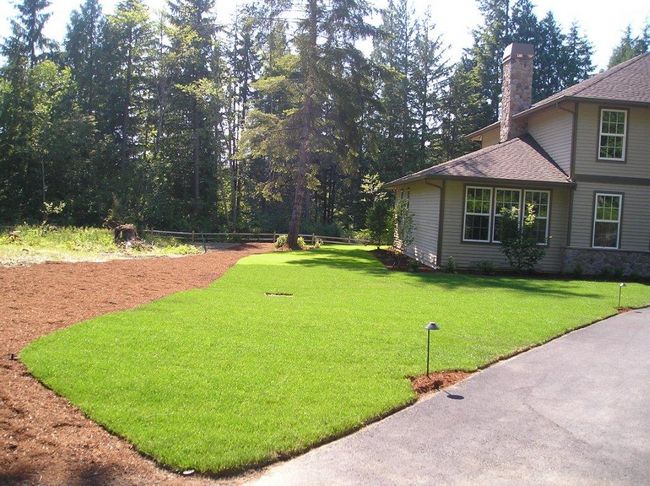 Landscape-Installation-Bellevue-WA