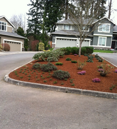 Lawn-Maintenance-Bellevue-WA