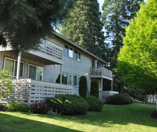 Lawn-Service-Bellevue-WA